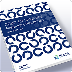 中小型企业的COBIT® 指南